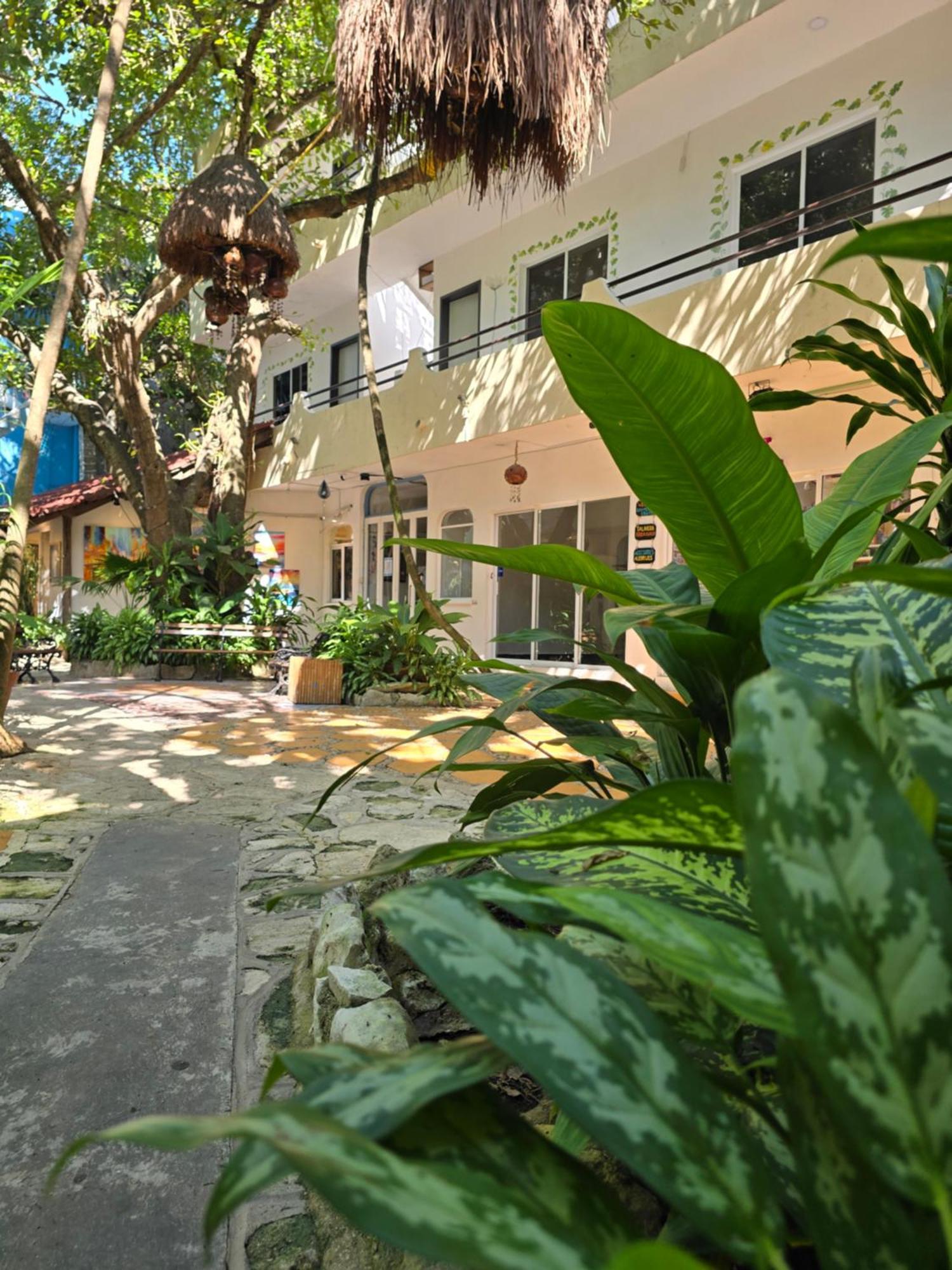Hotel Ha Garden Gallery - 5Th Avenue Playa del Carmen Exterior foto